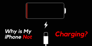 Why is My iPhone Not Charging?